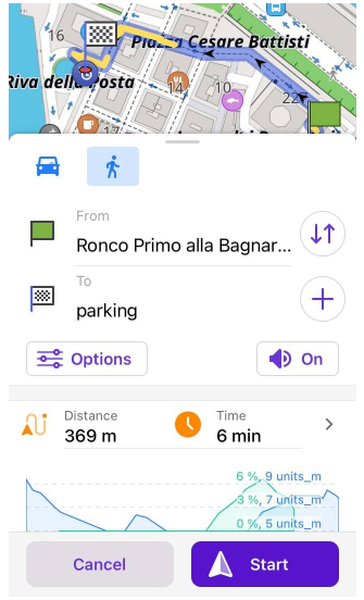Zum Parkpunkt navigieren in iOS