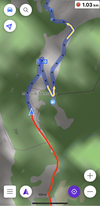Aufgezeichnete Reise in iOS