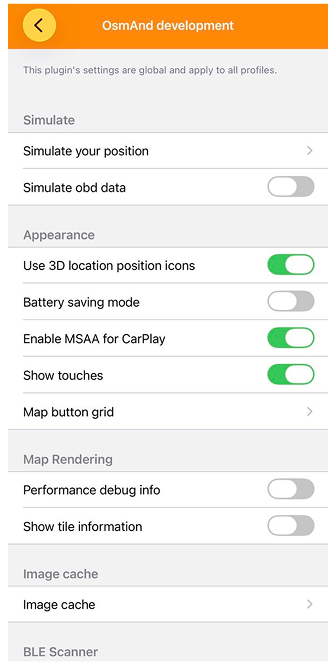 Development Settings iOS