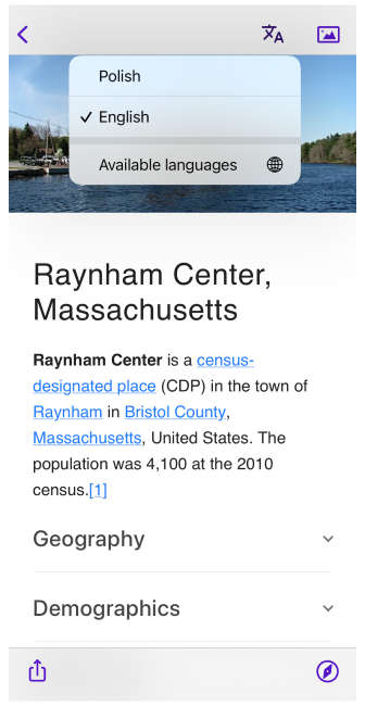 Cambiare lingue per un articolo specifico