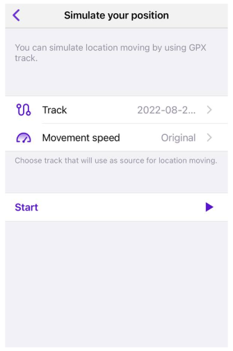 Ustawienia deweloperskie iOS