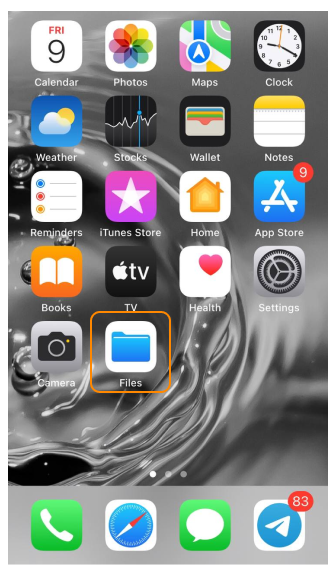 Wyślij dzienniki awarii iOS 1