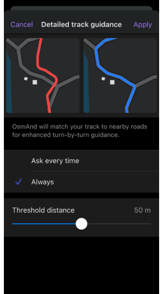 Detailed Track Guidance